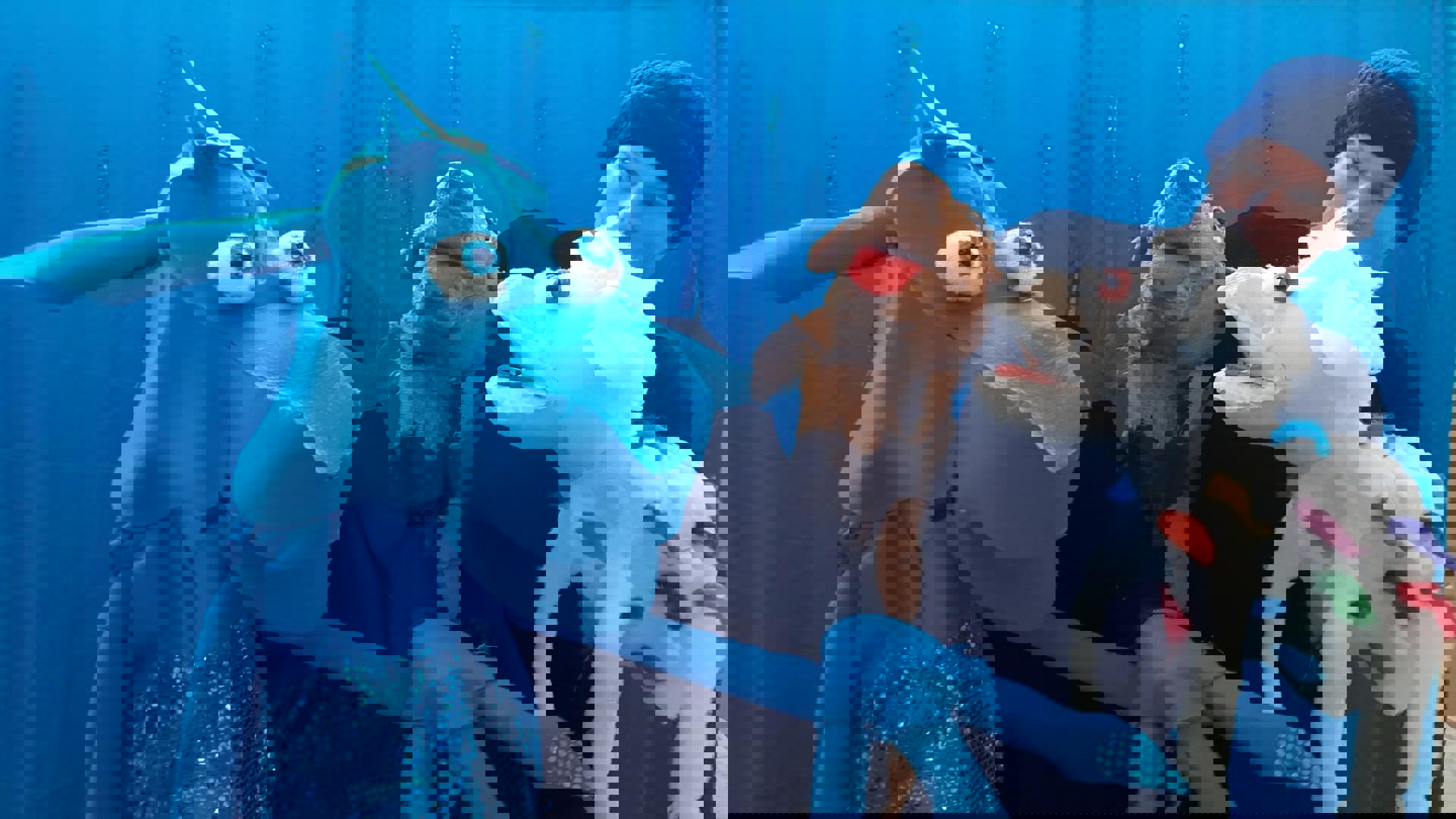 Rikkie en Bruno redden de Noordpool