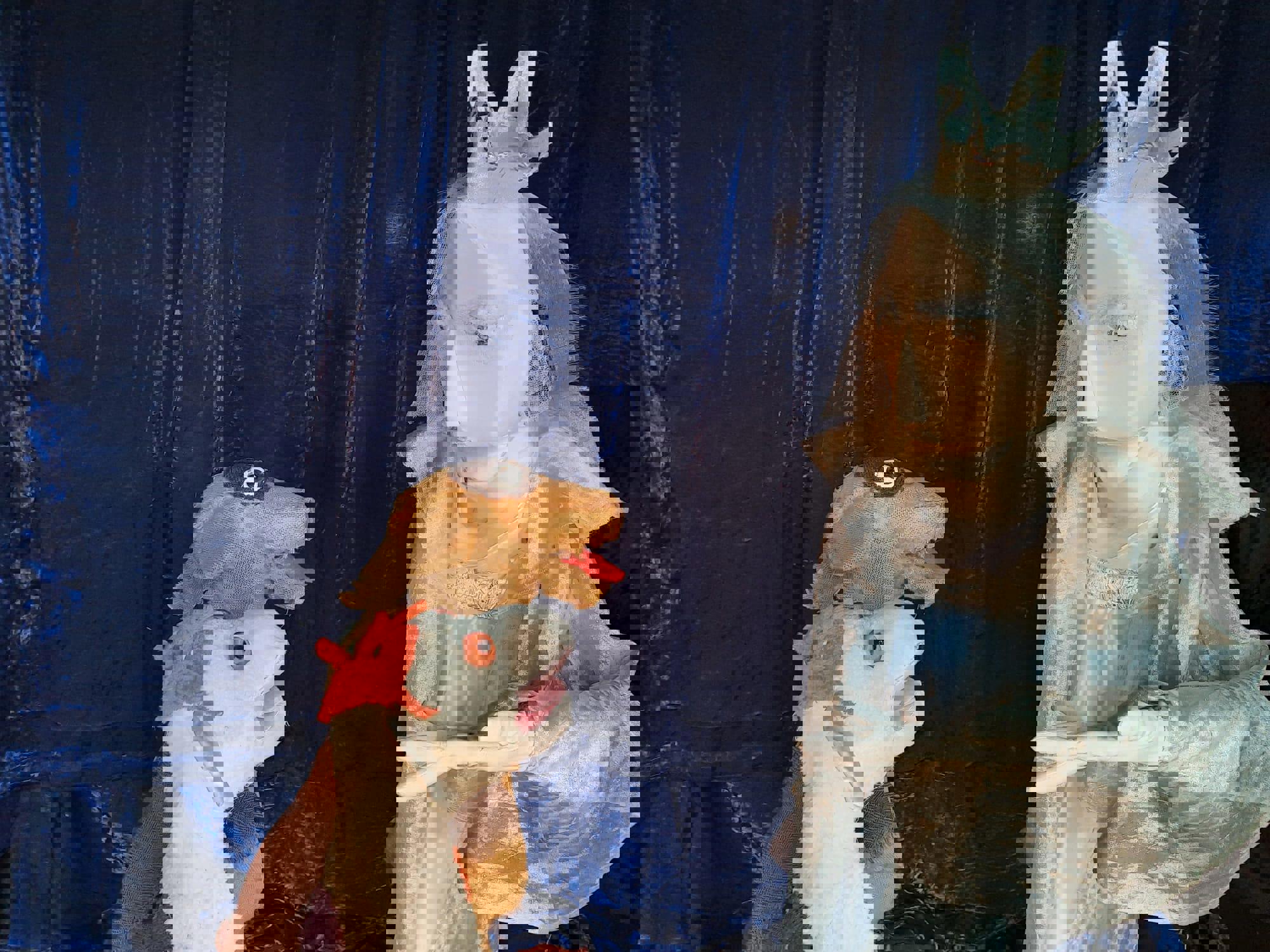 Rikkie en Bruno redden de Noordpool