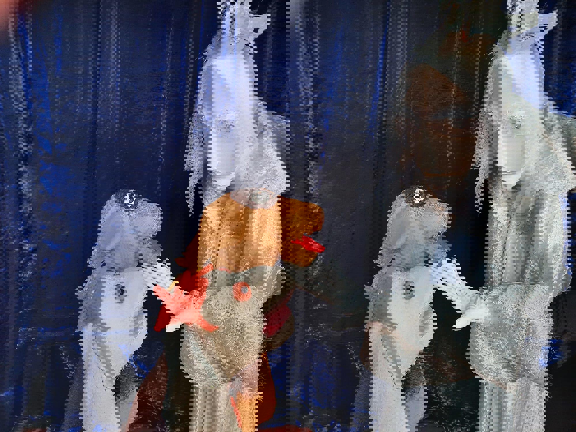 Rikkie en Bruno redden de Noordpool