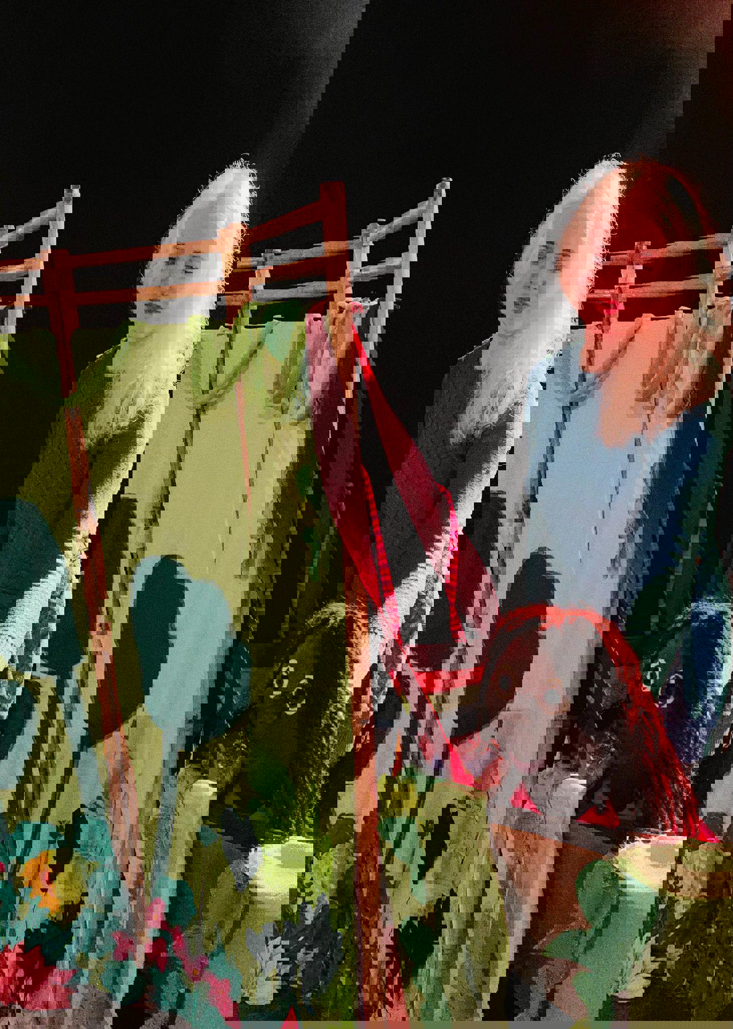 Aurelia kan de schat ook wel gebruiken